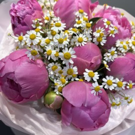Bouquet of Dutch Peonies and Chamomile