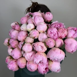 Bujor roz