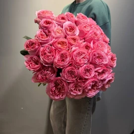 Розы Pink Expression