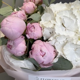 Buchet bujori si hortensie