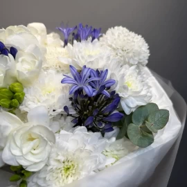 Bouquet with hydrangea, freesia and dianthus