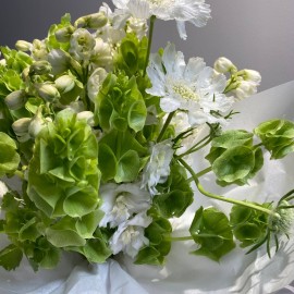 Bouquet made of moluccella, delphinium, and scabiosa