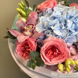 Bouquet with Hydrangea and Pink Expression Roses
