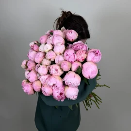 Bujor roz
