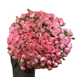 Trandafiri crengute roz îmbujorați (51 buc)