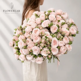 "Nunke" Spray Rose