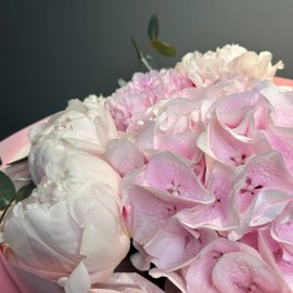 Buchet din bujori si hortensie roz