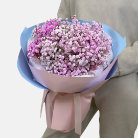 Bouquet pink gypsophila