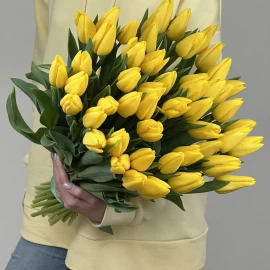 Yellow tulip (pre-order)
