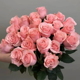 Rose "Be Sweet" (la comandă)