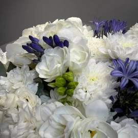 Bouquet with hydrangea, freesia and dianthus
