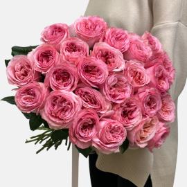 Trandafiri îmbujorați Pink Expression