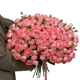 Trandafiri crengute roz îmbujorați (51 buc)
