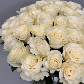 201 голландская роза (по предварительному заказу)