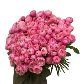 Pink spray peony roses