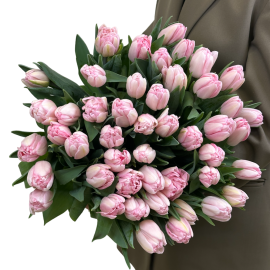 Pink tulips Foxtrot (pre order 10 days)