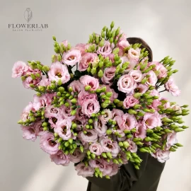 Lisianthus (Eustoma) roz