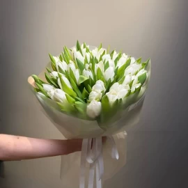 Букет из 51 белых тюльпанов (под заказ)