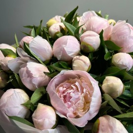 Buchet din 39 bujori