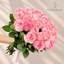 Роза "Pink O’Hara"