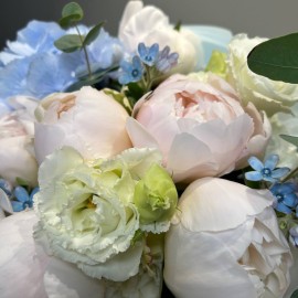 Buchet din hortensie albastra , bujori si oxipitalum