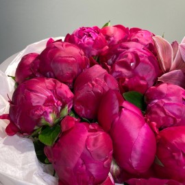 Buchet din bujori bordo