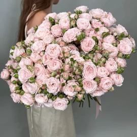 "Nunke" Spray Rose