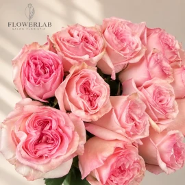 Роза "Pink O’Hara"