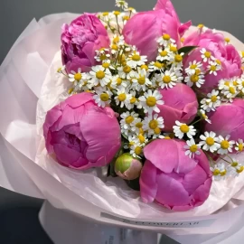 Un buchet de bujori roz aprins cu margarete (la comandă)