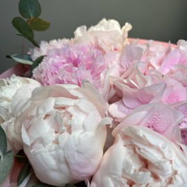 Buchet din bujori si hortensie roz