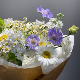 Bouquet of daisies, scabiosa, molucella, matthiola, and eustoma