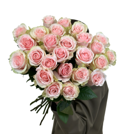 Cream roses (Ecuador ) 50cm