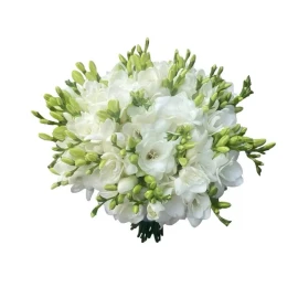 Букет невесты с фрезией (по предварительному заказу)