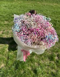 Buchet mare din gypsophila colorată