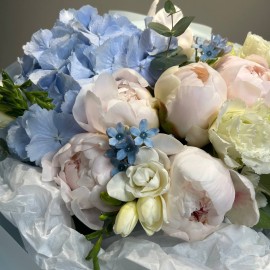 Buchet din hortensie albastra , bujori si oxipitalum