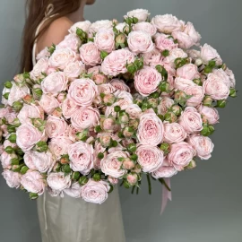"Nunke" Spray Rose