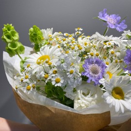 Bouquet of daisies, scabiosa, molucella, matthiola, and eustoma
