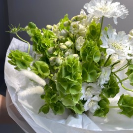 Bouquet made of moluccella, delphinium, and scabiosa