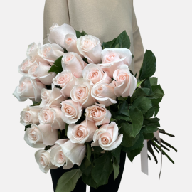 Pomorosa Roses (80-90cm)