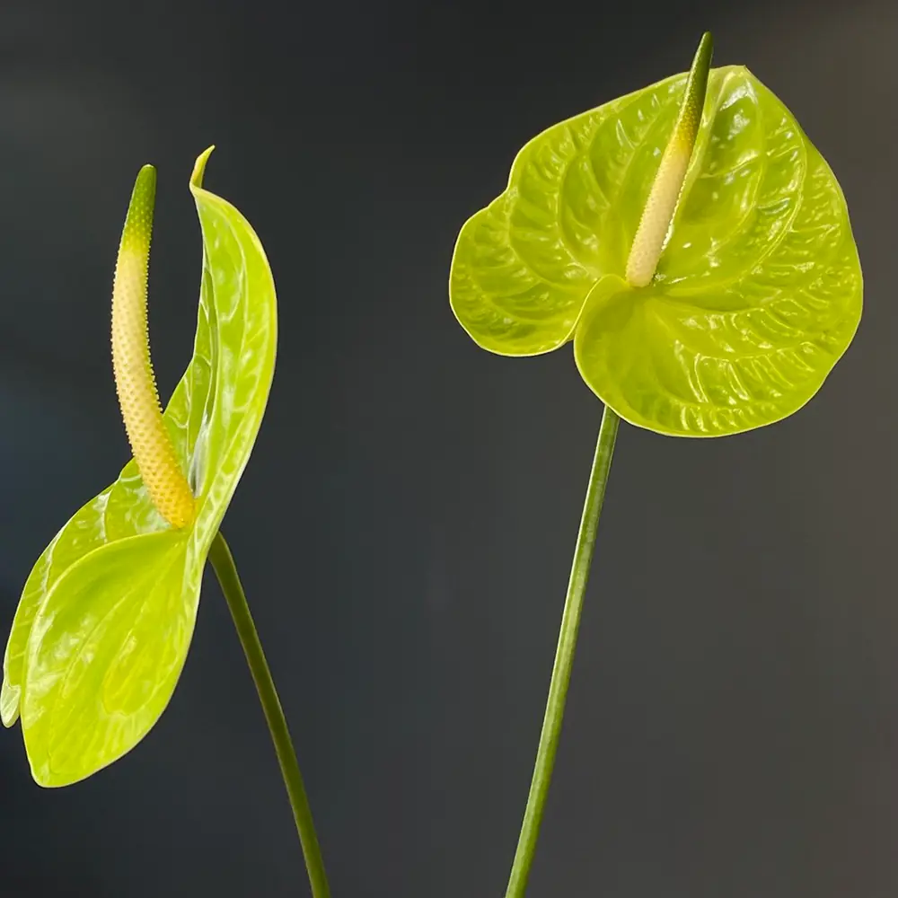 Blog featured image
